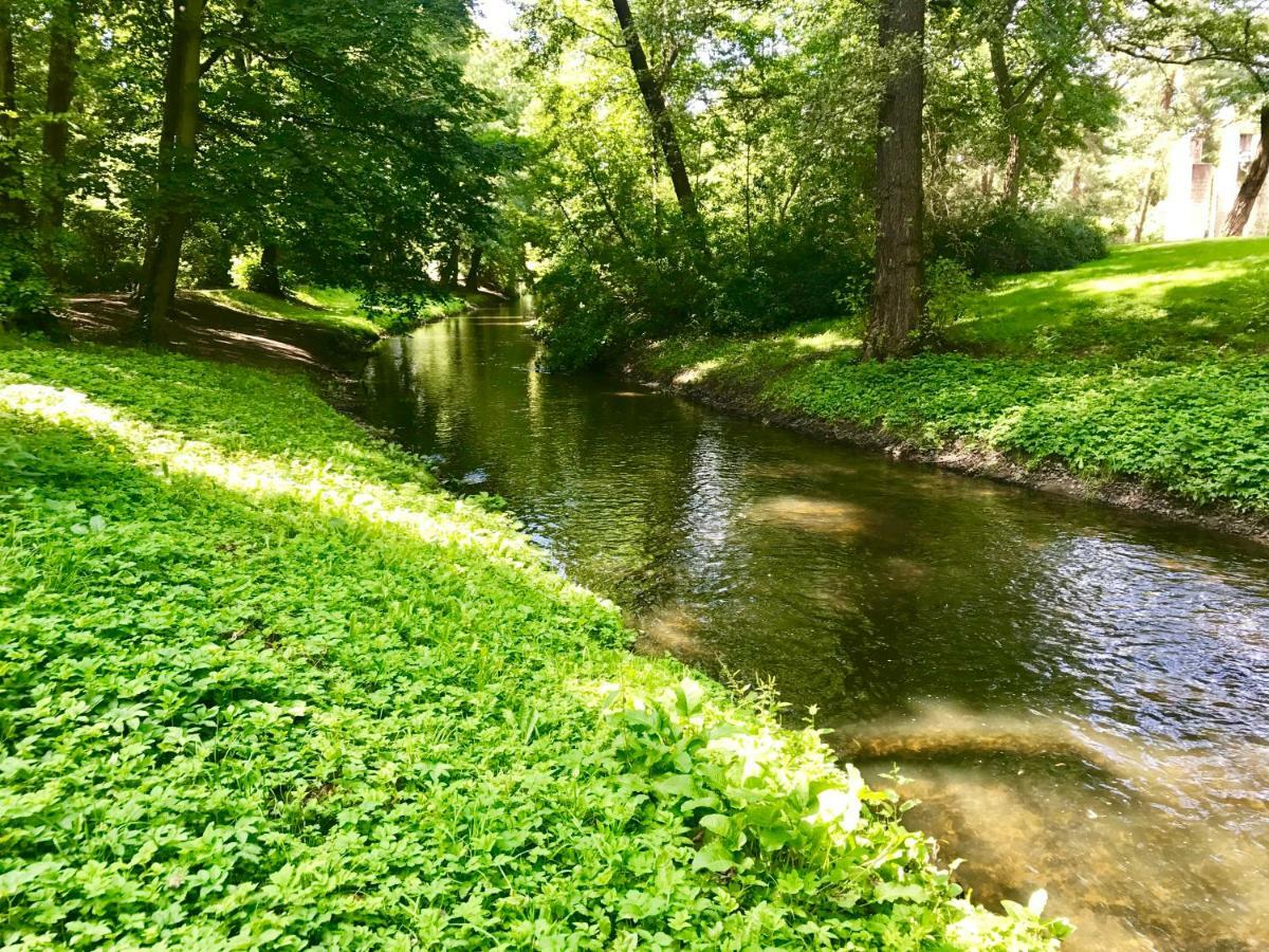 Bürgerpark